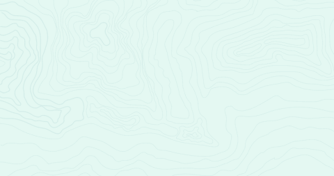topography